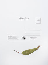 Load image into Gallery viewer, Lodwick©ampbell Postcard