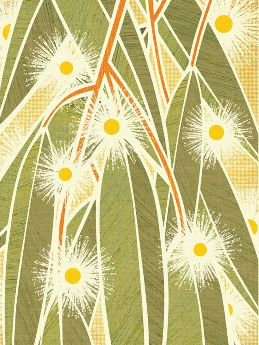 Australian Lemon Scented Gum Mid-Century Style  Botanical Postcard
