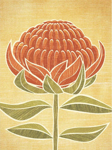 Australian Waratah Mid-Century Style Botanical Postcard