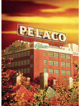 Pelaco Sign Postcard